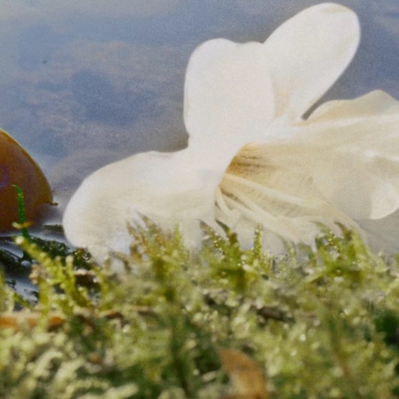 Chloé Nomade Eau de Parfum Brand New in Box - Picture 4 of 12